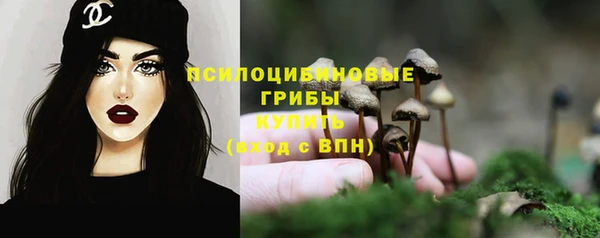 спиды Мегион