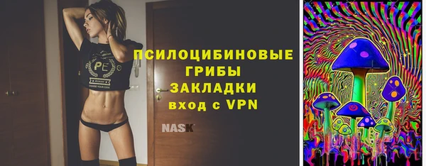 спиды Мегион