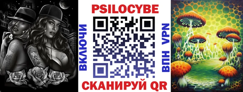 Псилоцибиновые грибы Psilocybe  цены наркотик  Кимры 