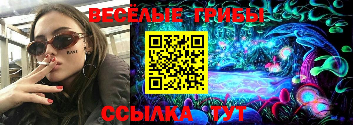 Галлюциногенные грибы прущие грибы Кимры